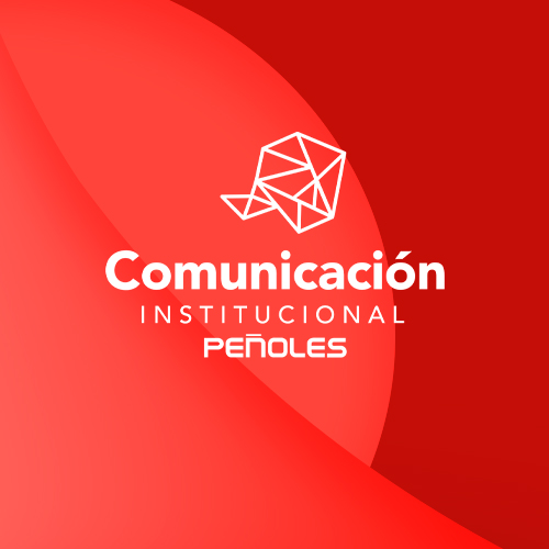 Portafolio - Desarrollo Software y Aplicaciones - Comuncacion