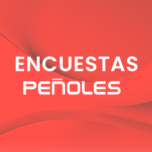 Portafolio - Desarrollo Software y Aplicaciones Encuestas Penoles