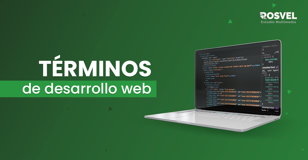 Términos de Desarrollo Web
