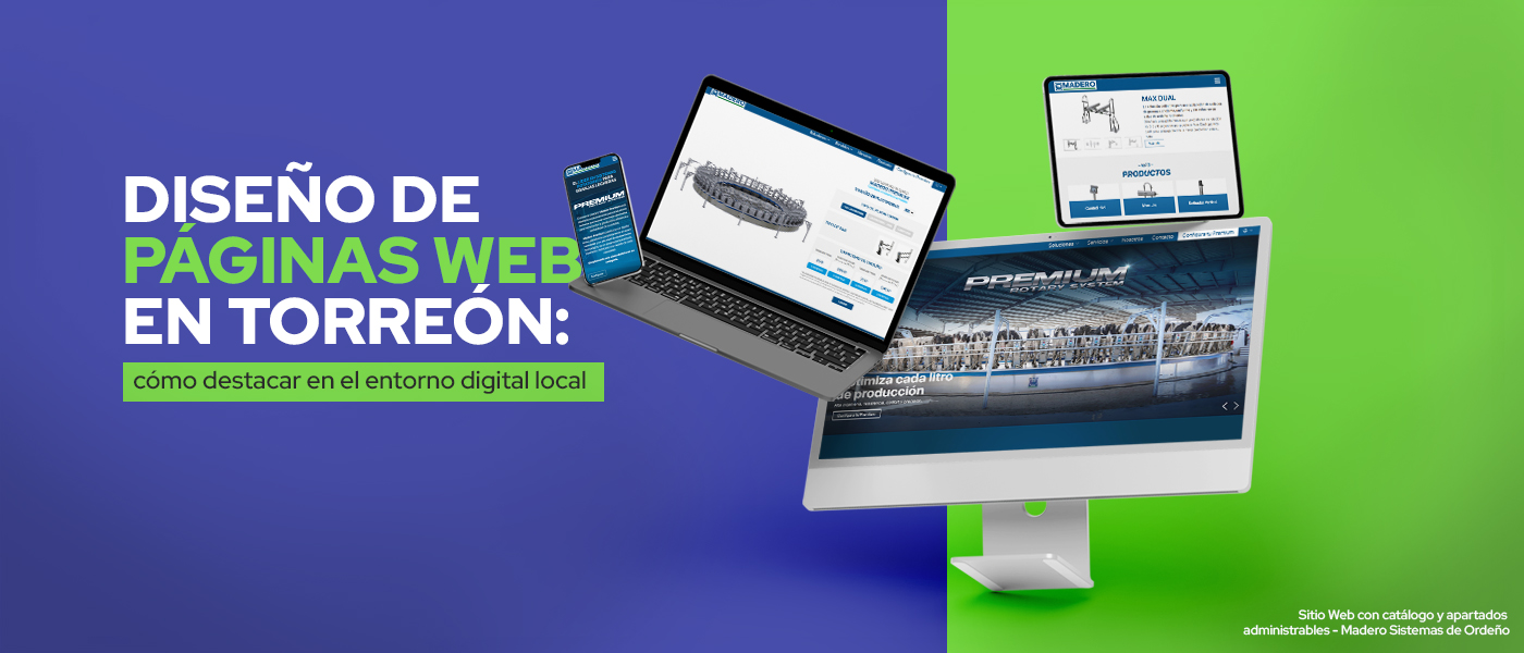 diseno de paginas web en torreon