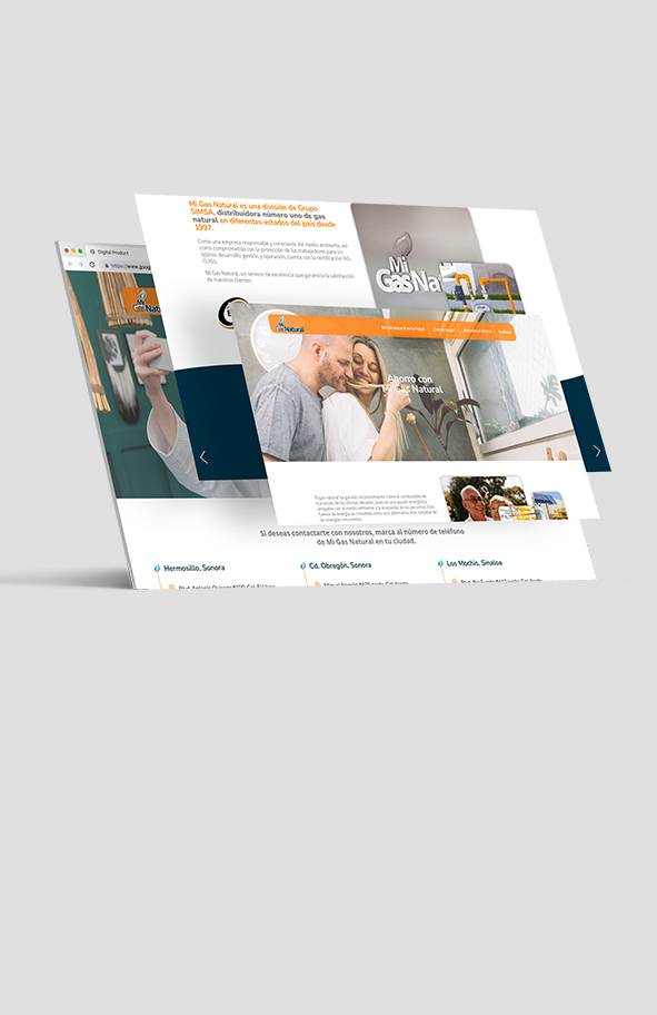 Proyecto web gas natural