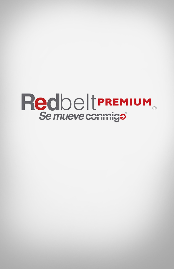 Proyecto SEM redbelt